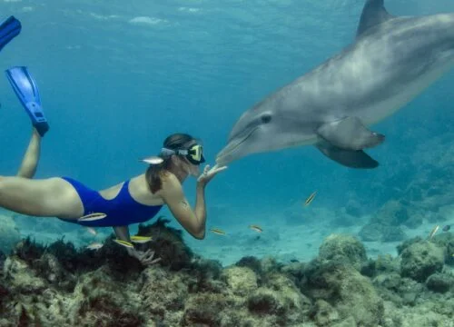 Snorkeling Trip & Excursion from Safaga Port