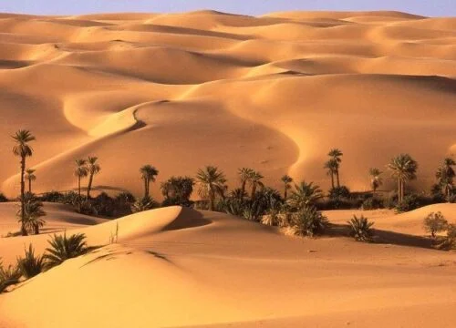 7-day Northwest Desert Tour