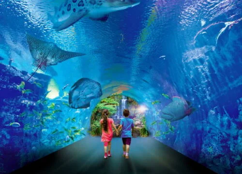 Hurghada City Tour from Safaga Port