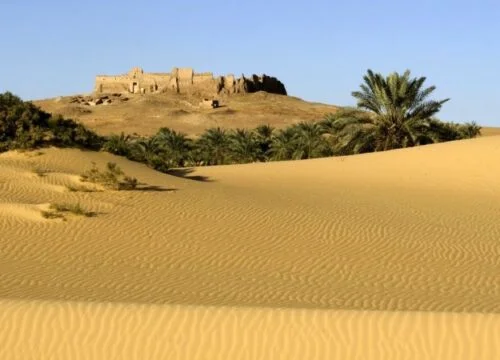 5-day tour "Oases: Bahariya and Kharga"