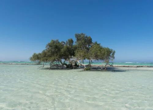 Hurghada-Sharm El Sheikh-Taba-Israel