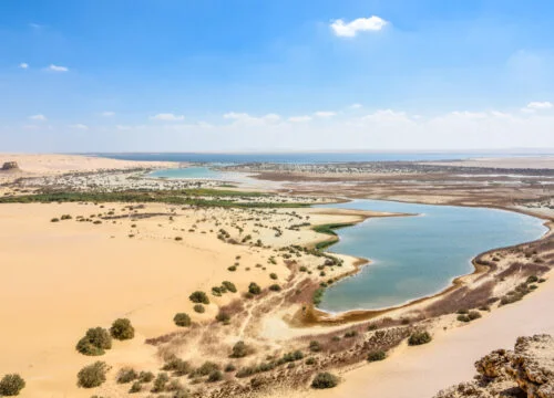 5-day tour "Oases: Faiyum and Bahariya"