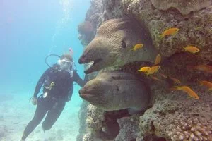 Diving in Hurghada