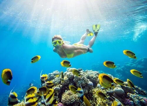 Diving Tour at Ras Mohammed by boat