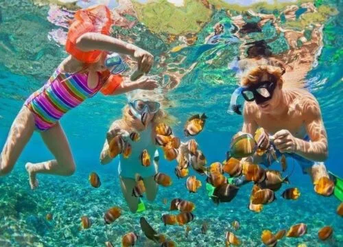 Diving from the port of Alexandria
