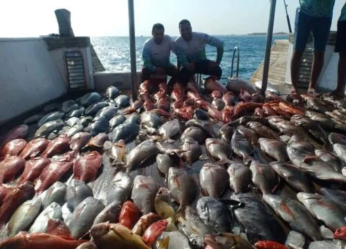 Fishing in the Red Sea near Marsa Alam