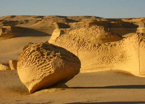 Day Safari Tour from Cairo to Faiyum Oasis
